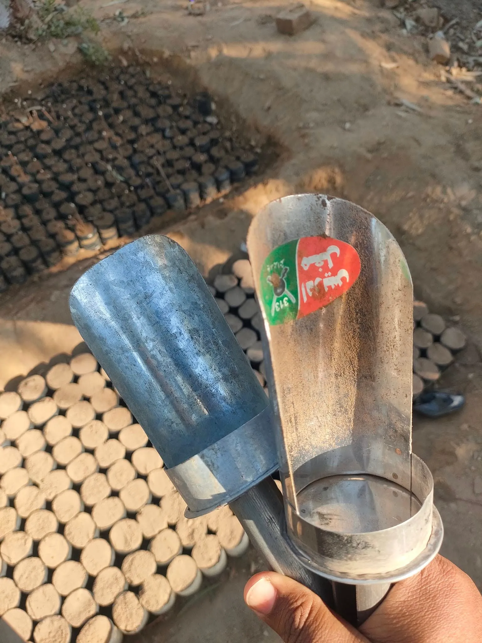 Green Seekers Activity